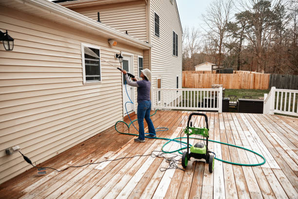 Best Affordable Pressure Washing  in Dodson Branch, TN