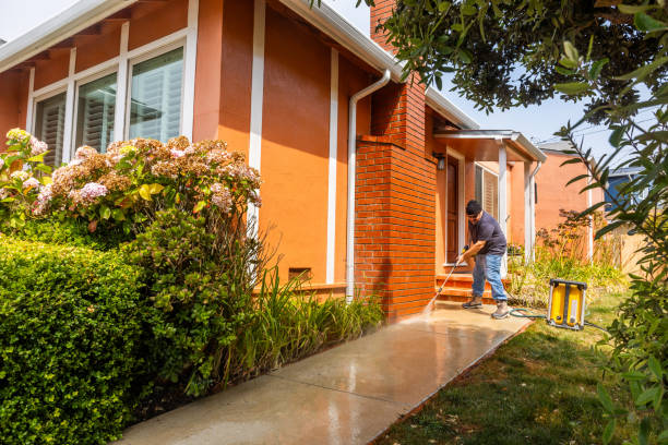 Best Roof Pressure Washing  in Dodson Branch, TN