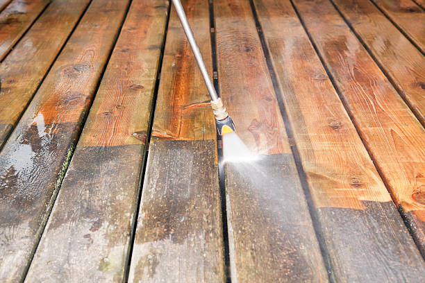 Best Best Pressure Washing Companies  in Dodson Branch, TN