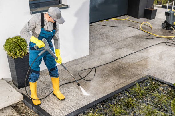 Best Local Pressure Washing Services  in Dodson Branch, TN