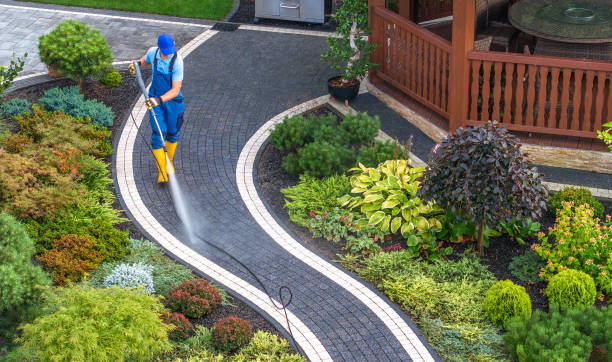 Best Pressure Washing Driveway  in Dodson Branch, TN